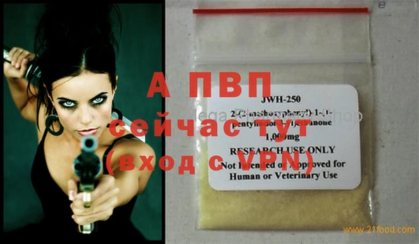 крисы Дмитриев