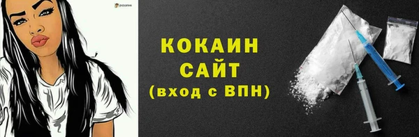 мдпв Ельня