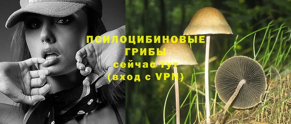 ECSTASY Дмитровск