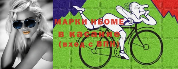 мдпв Ельня