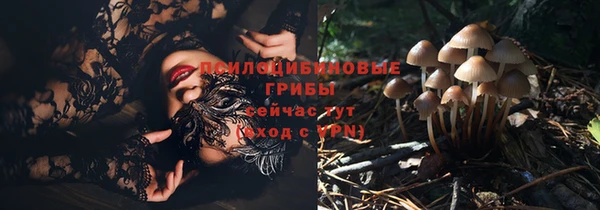 крисы Дмитриев