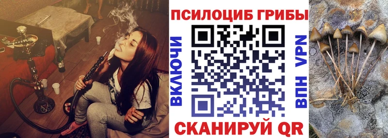 Купить закладки  Балтийск  Галлюциногенные грибы Psilocybine cubensis 